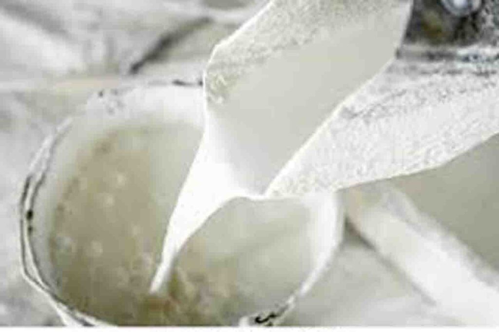 the limestore gallery