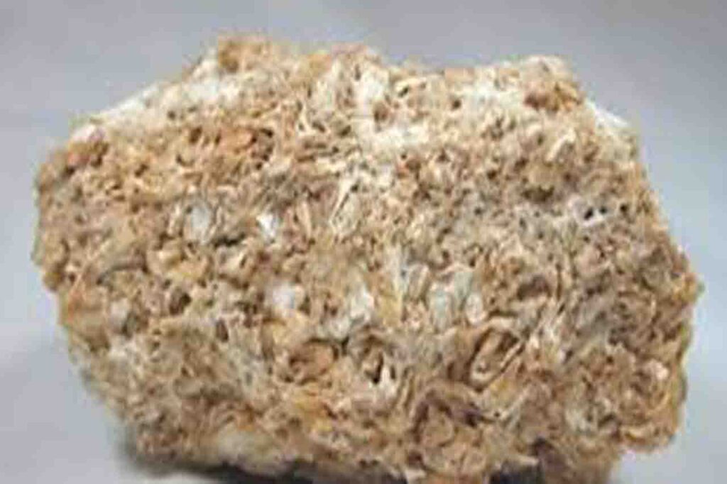 the limestore gallery