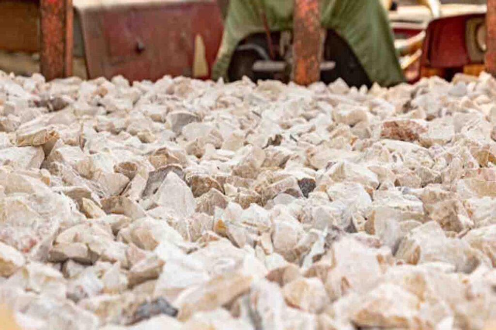 the limestore gallery